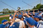 Baseball vs Babson  Wheaton College Baseball players celebrate their victory over Babson to win the NEWMAC Championship for the third year in a row. - (Photo by Keith Nordstrom) : Wheaton, baseball, NEWMAC